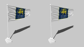 sri Lanka Kricket, slc Flagge nahtlos geloopt winken mit Pole Base Stand, isoliert auf Alpha Kanal schwarz und Weiß matt, einfach und stoßen Textur Stoff Variation 3d machen video