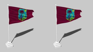 Kricket Westen Indien, cwi Flagge nahtlos geloopt winken mit Pole Base Stand, isoliert auf Alpha Kanal schwarz und Weiß matt, einfach und stoßen Textur Stoff Variation 3d machen video