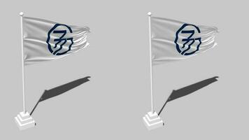 Group of 77, G77 Flag Seamless Looped Waving with Pole Base Stand and Shadow, Isolated on Alpha Channel Black and White Matte, Plain and Bump Texture Cloth Variations, 3D Rendering video