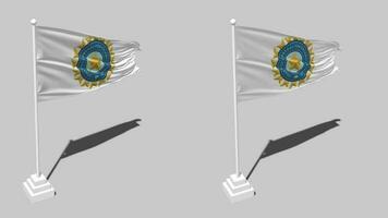 Board of Control for Cricket in India, BCCI Flag Seamless Looped Waving with Pole Base Stand, Isolated on Alpha Channel Black and White Matte, Plain and Bump Texture Cloth Variation 3D Render video