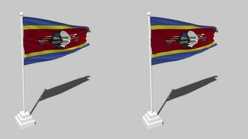 Eswatini bandeira desatado em loop acenando com pólo base ficar de pé e sombra, isolado em alfa canal Preto e branco fosco, avião e colisão textura pano variações, 3d Renderização video