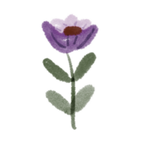 roxa tulipa rabisco arte png