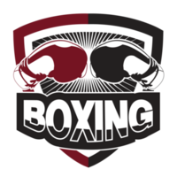 Boxing Gloves logo.It's for finisher concept png