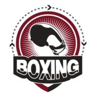 boksen handschoenen logo.it's voor succes concept png