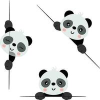 Adorable panda peeking out from behind in various positions vector