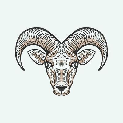 goat head hand drawn illustration in vintage style