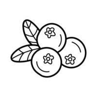 Huckleberry. Outline icon of berries and leaves. Blueberry or cranberries in a simple doodle style. Hand drawn sketch style. Vector isolated illustration.