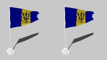 Barbados Flag Seamless Looped Waving with Pole Base Stand and Shadow, Isolated on Alpha Channel Black and White Matte, Plain and Bump Texture Cloth Variations, 3D Rendering video