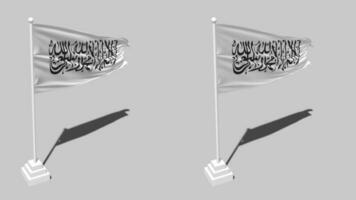 Afghanistan Flag Seamless Looped Waving with Pole Base Stand and Shadow, Isolated on Alpha Channel Black and White Matte, Plain and Bump Texture Cloth Variations, 3D Rendering video