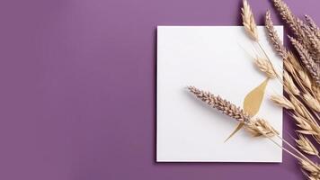 Blank White Paper and Dried Grain Grass on Purple Background. Wedding Card and Space for Your Message. . photo