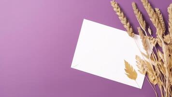 Top View of Blank White Paper and Golden Dried Grain Grass on Pastel Purple Background. Wedding Card and Space for Your Message. . photo