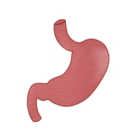 Là siamo molti tipi di medico attrezzatura quello può essere Usato per educativo immagini. png