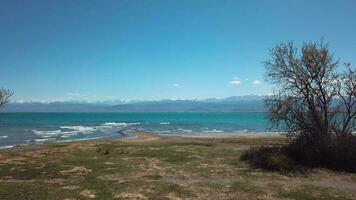 Haut vue de le côte célèbre issyk koul Lac dans Kirghizistan video
