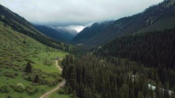 aérien vue de le karakol forêt et gorge dans Kirghizistan video