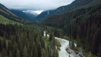 River In The Forest Of The Karakol Gorge In Kyrgyzstan, Aerial View video