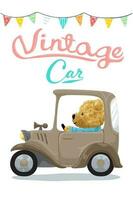 Vector illustration of hand drawn teddy bear cartoon driving vintage car