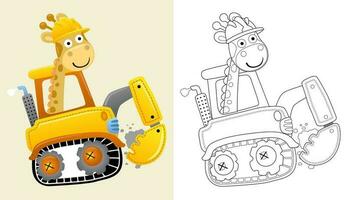 Vector illustration of cartoon giraffe on construction vehicle. Coloring book or page for kids