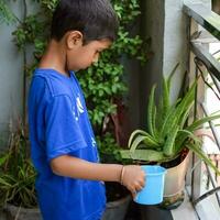 linda 5 5 años antiguo asiático pequeño chico es riego el planta en el ollas situado a casa balcón. amor de dulce pequeño chico para el madre naturaleza durante riego dentro plantas. niño plantando foto