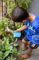 Cute 5 years old Asian little boy is watering the plant in the pots located at house balcony. Love of sweet little boy for the mother nature during watering into plants. Kid Planting photo