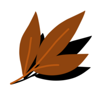 tomber l'automne feuilles png