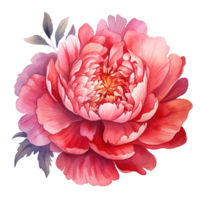 Aquarell schön Pfingstrose Blume. Illustration ai generativ png