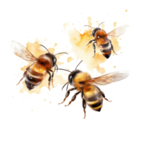 Honey bee isolated. Illustration png