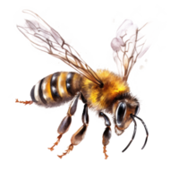 miel abeja aislado. ilustración ai generativo png