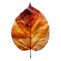 otoño hoja aislado. ilustración ai generativo png