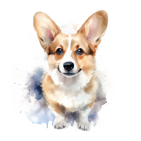 fofa corgi cachorro. ilustração ai generativo png