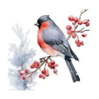 Watercolor Christmas forest branches and bullfinch. Illustration AI Generative png