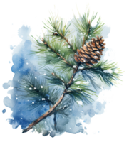 Snowy winter watercolor christmas pine branch Illustration png