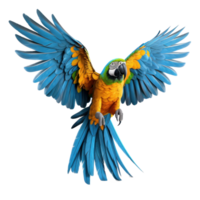 Bright parrot isolated. Illustration png