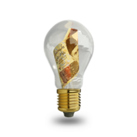 3d rendered Pakistani Rupee note inside transparent light bulb, creative thinking. Making money by solving problem. Having idea concept png