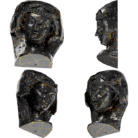 huvud av ett oklok jungfrulig en fängslande svart marmor staty med gyllene accenter för konstnärlig projekt png