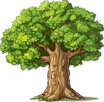 Beech tree transparent background png