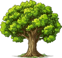 haya árbol transparente antecedentes png