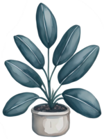 Watercolor House plant. png