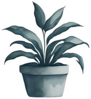 Watercolor House plant. png