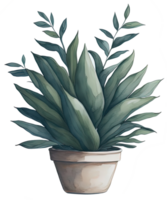 Watercolor House plant. png