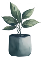 Watercolor House plant. png