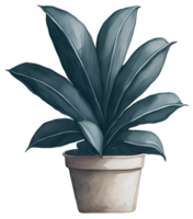 Watercolor House plant. png