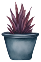 Watercolor House plant. Generative AI png