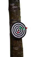 target on a wooden board png