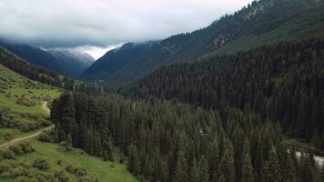 Aerial View Of The Karakol Forest And Gorge In Kyrgyzstan video