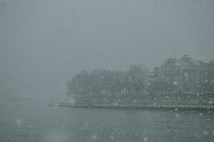 The river bank of the Vistula river in the Poland city of Krakow with buildings and trees in the background during the blizzard with big snowflakes at the morning in the December photo