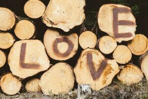 Stacked tree trunks in the forest with the big red letters in word Love on them made with brush photo