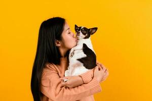 Cute Asian woman with his chihuahua chihuahua dog lover The happiness of a girl who loves his dog The love of people and cute dogs photo shoot in orange studio