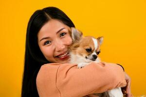 Cute Asian woman with his chihuahua chihuahua dog lover The happiness of a girl who loves his dog The love of people and cute dogs photo shoot in orange studio