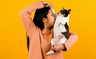 Cute Asian woman with his chihuahua chihuahua dog lover The happiness of a girl who loves his dog The love of people and cute dogs photo shoot in orange studio