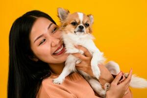 Cute Asian woman with his chihuahua chihuahua dog lover The happiness of a girl who loves his dog The love of people and cute dogs photo shoot in orange studio